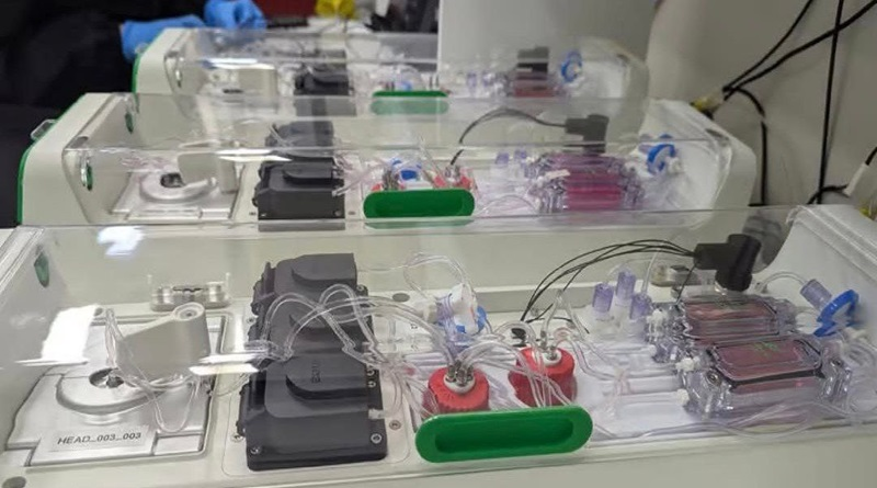 En la vida cotidiana