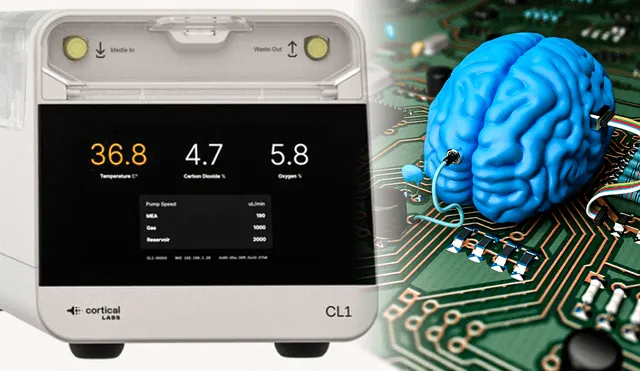 En la vida cotidiana