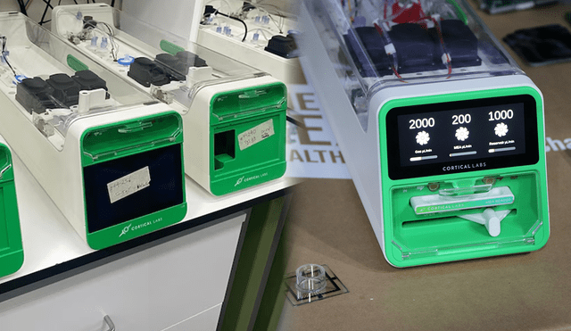 En la vida cotidiana