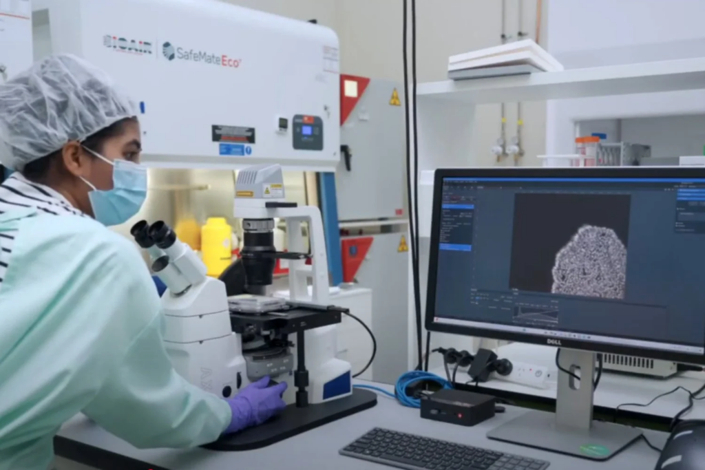 En la vida cotidiana