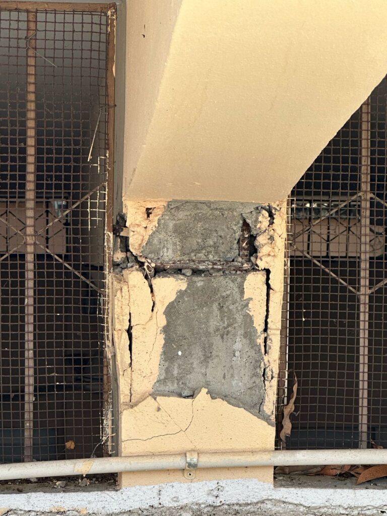 whatsapp image 2025 04 29 at 10.12.59 (1)