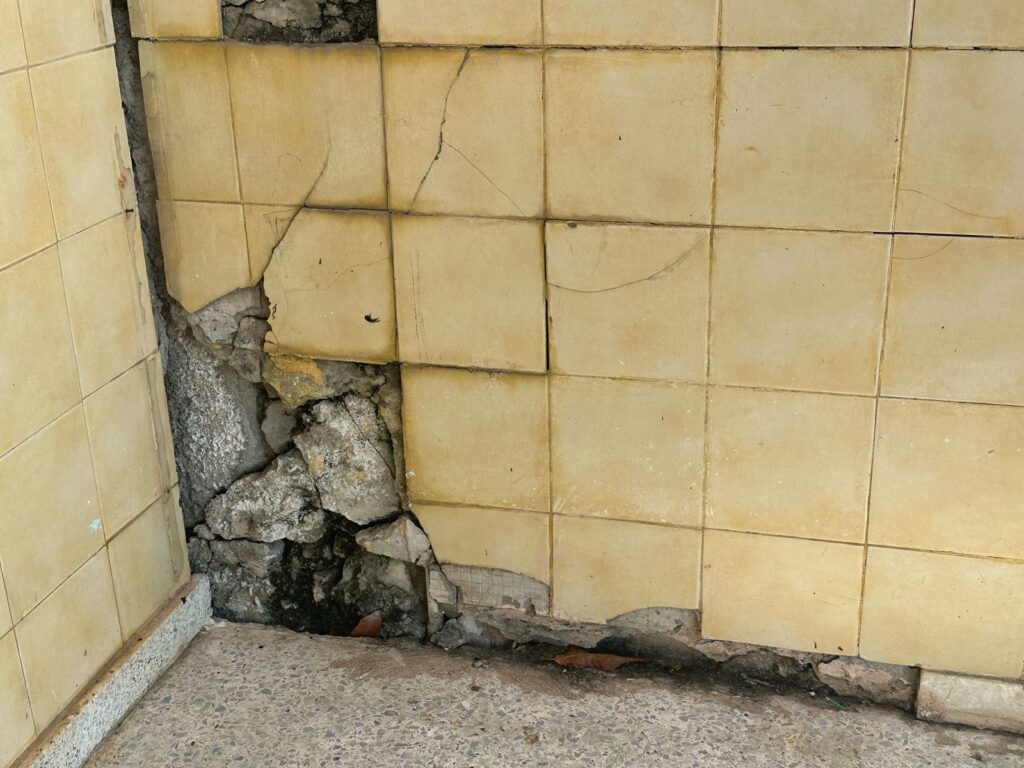 whatsapp image 2025 04 29 at 10.13.01 (1)