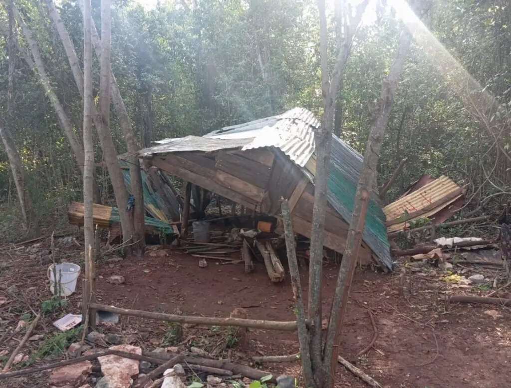 propiedad las mercedes 1024x777