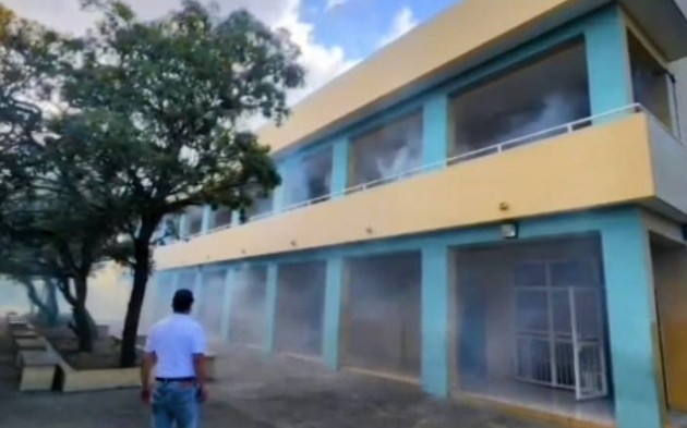 escuela mosquito