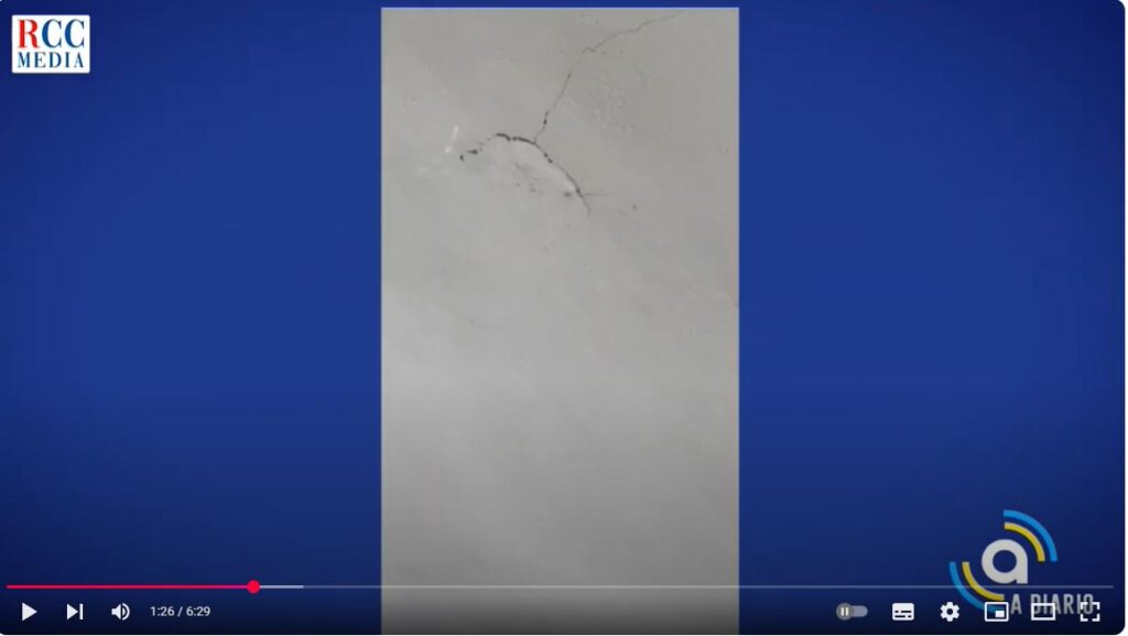 whatsapp image 2025 05 12 at 10.46.58 am