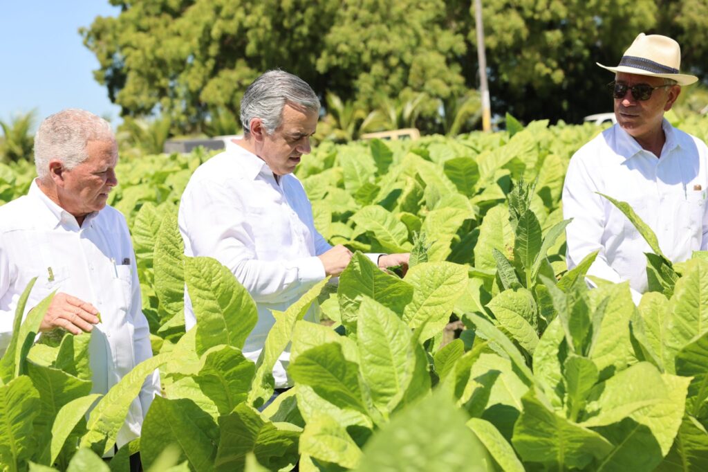 whatsapp image 2025 05 13 at 8.14.42 am (2)