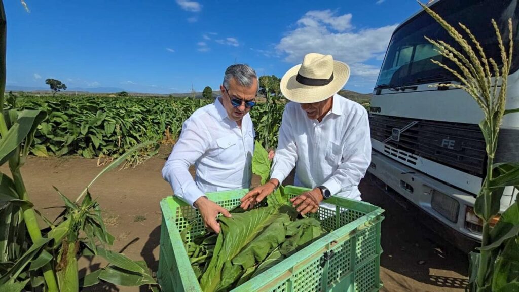 whatsapp image 2025 05 13 at 8.14.42 am (3)