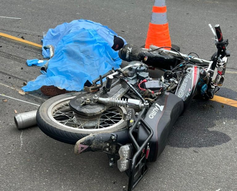 whatsapp image 2025 05 15 at 7.38.34 am 1 768x621