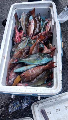 whatsapp image 2025 05 23 at 10.07.56 225x400