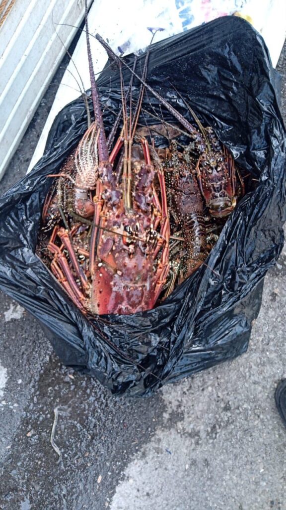 whatsapp image 2025 05 23 at 10.08.03