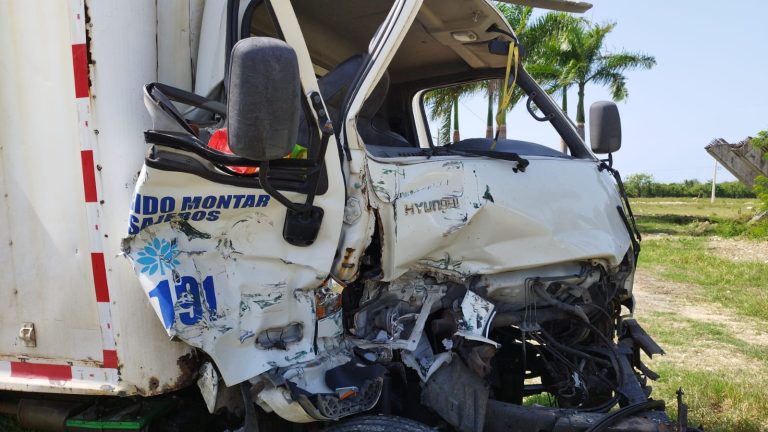 camion blanco 768x432