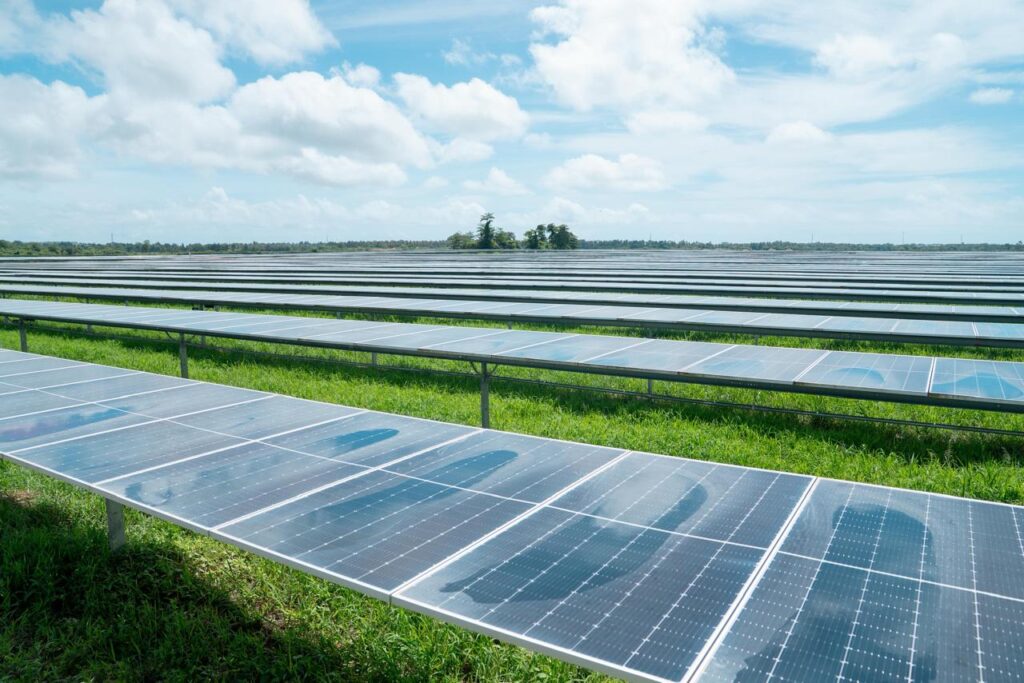 whatsapp image 2025 07 13 at 9.39.19 am