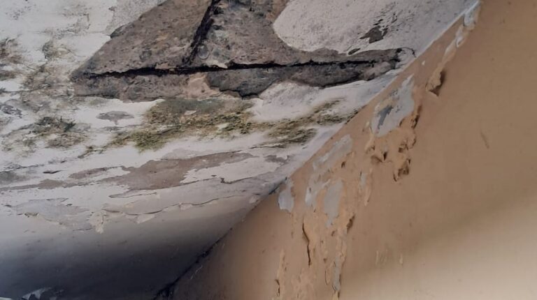 escuela de las gordas