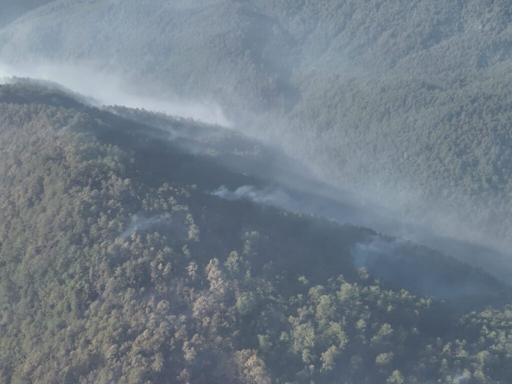 medio ambiente dice avanza en control de incendio en parque nacional armando bermudez