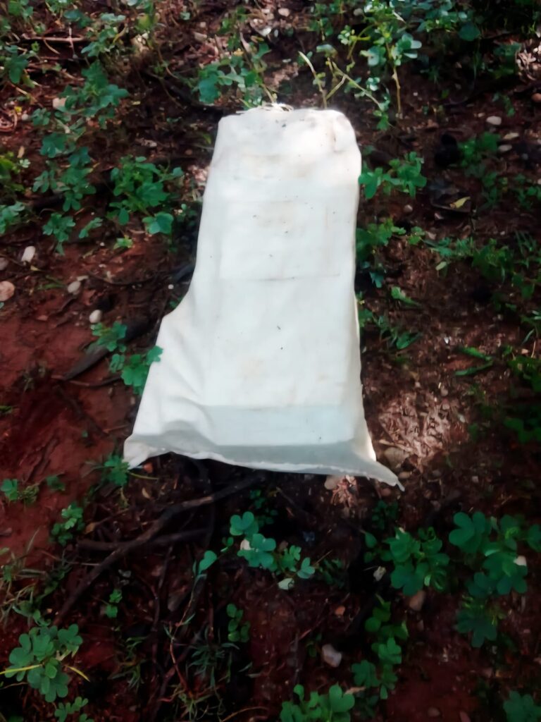 whatsapp image 2025 08 27 at 8.29.27 am