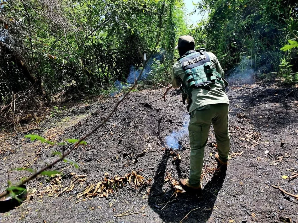 senpa y medio ambiente intensifican operativos en defensa de los recursos naturalesincautan mad 5fcd13e2