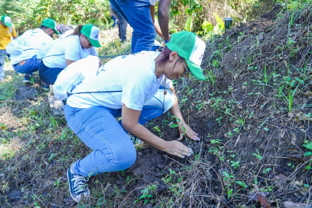 colaborares del infotep participan en jornada de reforestacion en hato mayor