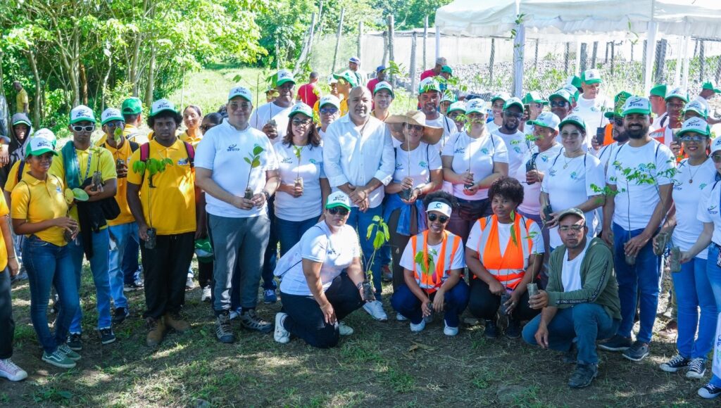 jornada de reforestacion del infotep en hato mayor