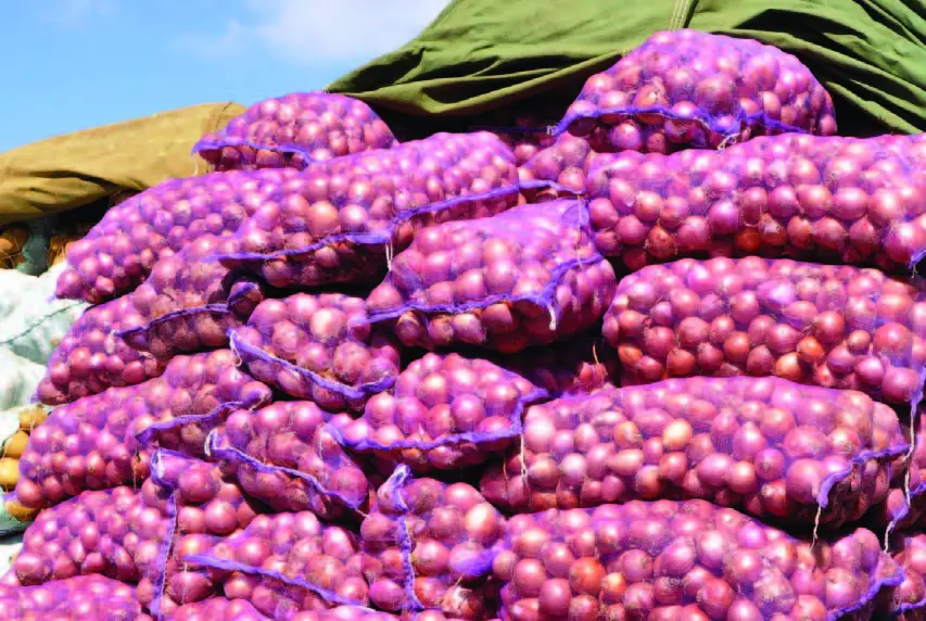 la cebolla se vendió en el mercado nuevo de la duarte entre rd1700 y rd1800 el saco