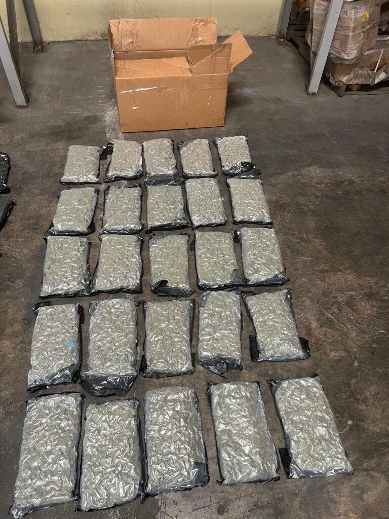 whatsapp image 2025 09 10 at 9.28.35 am (1)