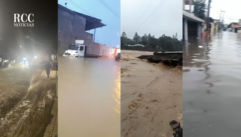 greidy foto portal (2) (1)