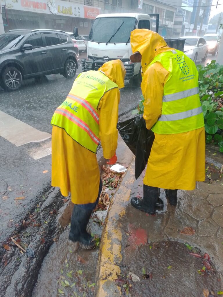 whatsapp image 2025 10 28 at 8.48.22 am