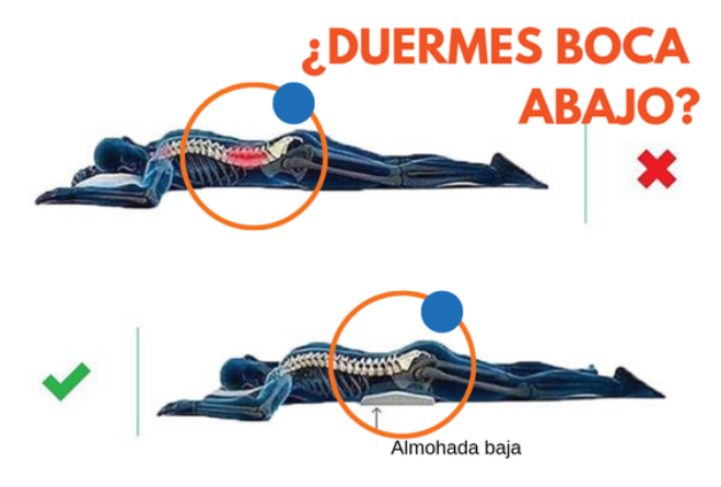 captura de pantalla 2025 11 25 092936