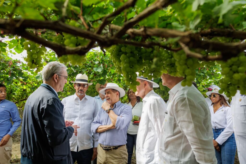 whatsapp image 2025 11 01 at 6.12.15 pm(1)