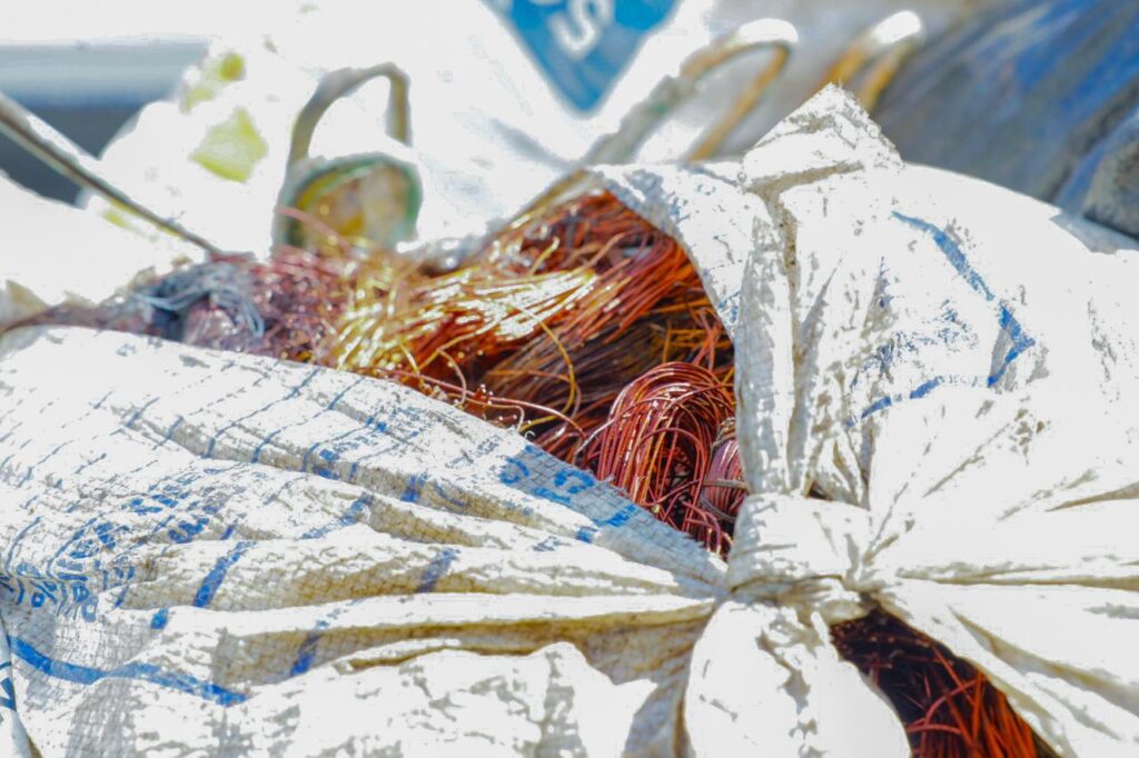 whatsapp image 2025 11 19 at 7.50.34 pm (1)