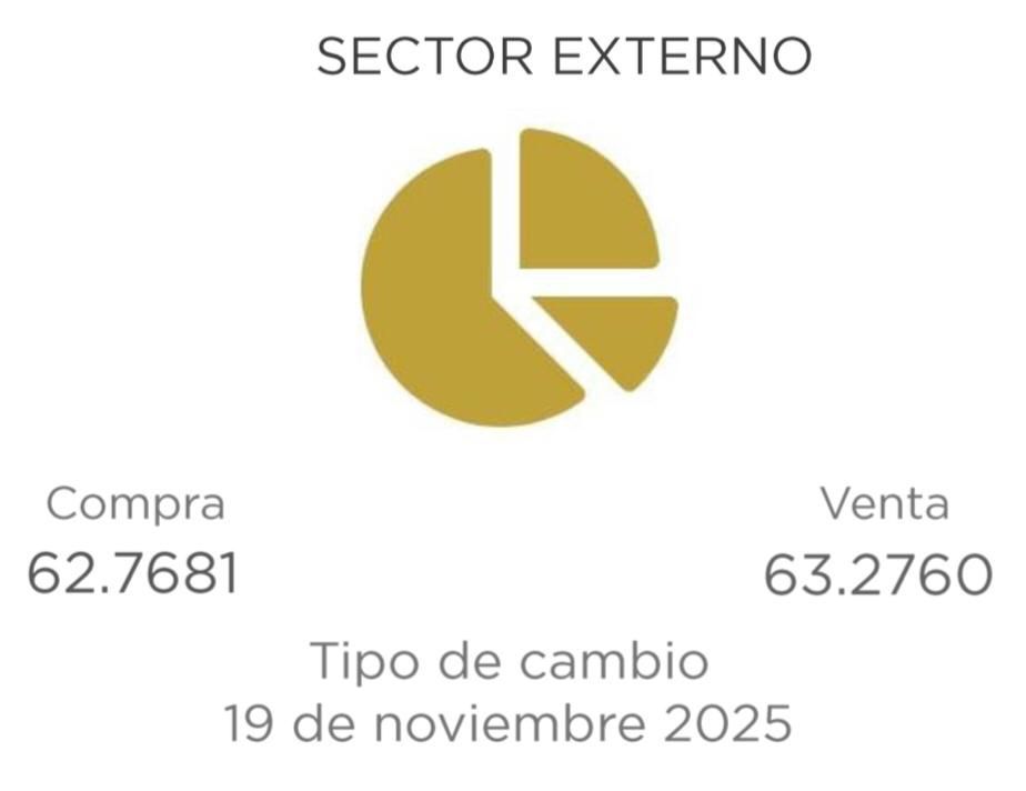 whatsapp image 2025 11 20 at 11.57.28 am