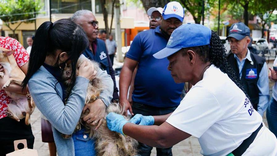 inician jornada nacional de vacunacion antirrabica para perros y gatos 1a16cfba focus min0.47 0.3 896 504