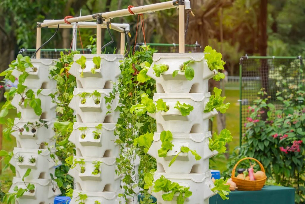 multmedpp 5 1024x683