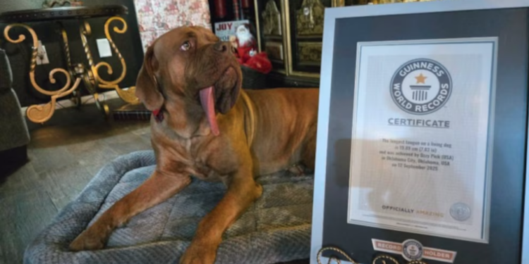 captura de pantalla 2025 12 08 a las 12.04.04 750x375