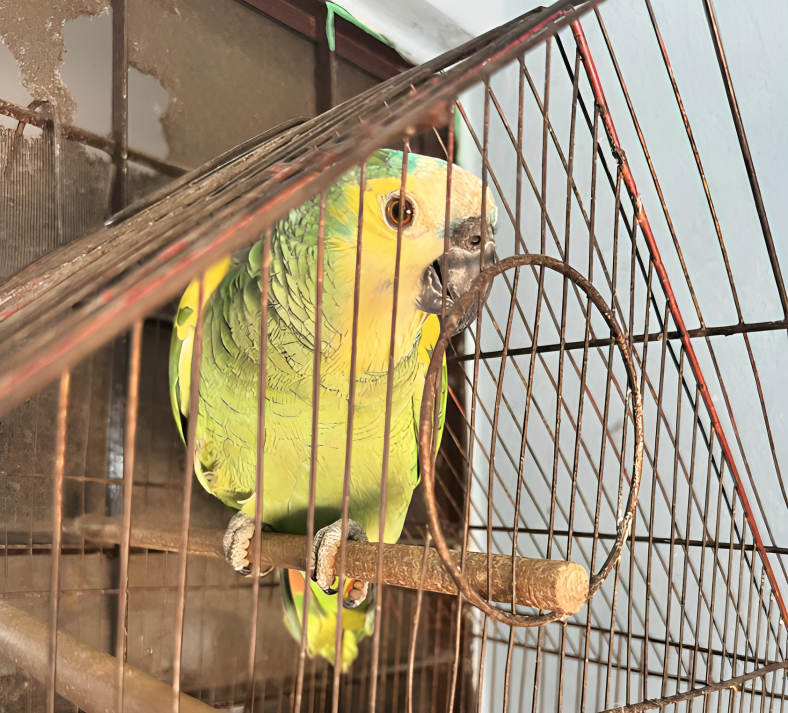 captura de pantalla 2025 12 21 172038 (1)