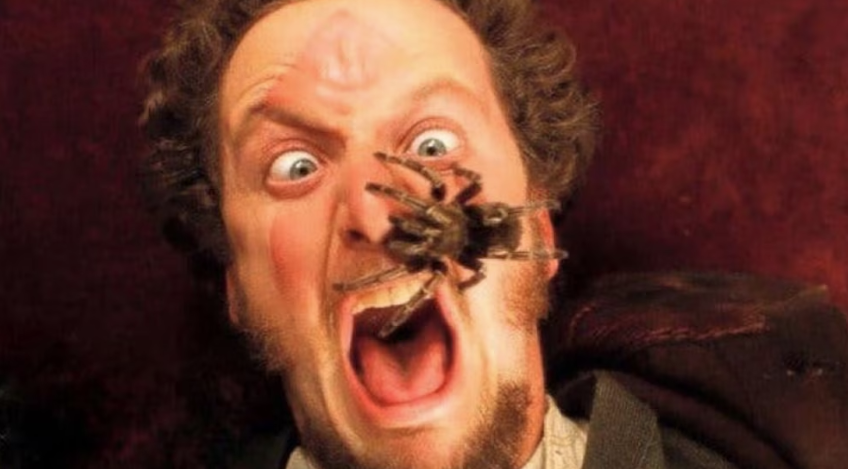 captura de pantalla 2025 12 30 180818