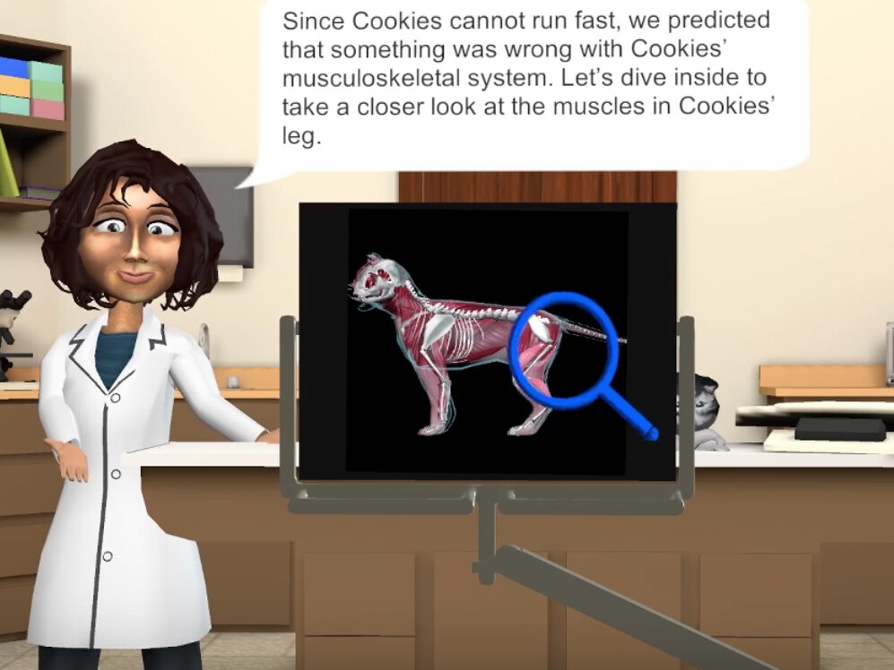 virtual vet screen grab