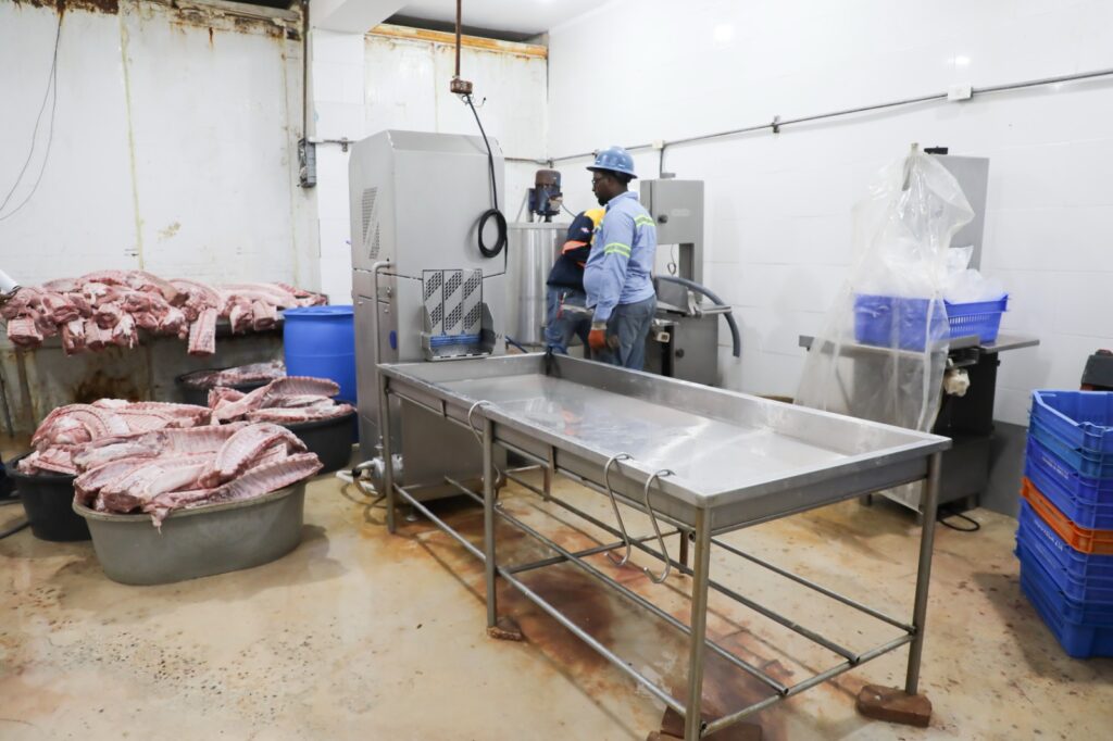 whatsapp image 2025 12 05 at 11.13.47 am