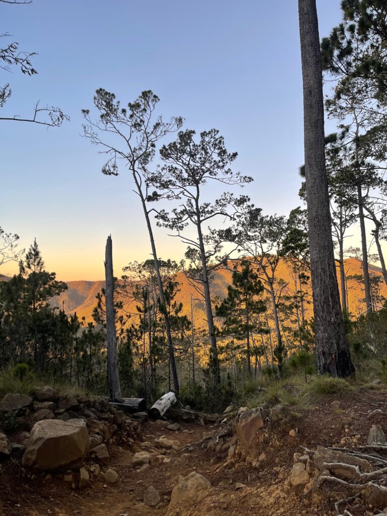 whatsapp image 2025 12 11 at 08.54.39