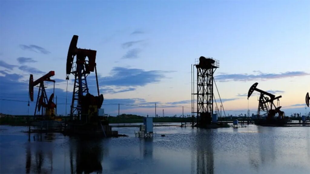 whatsapp image 2025 12 23 at 9.31.12 pm