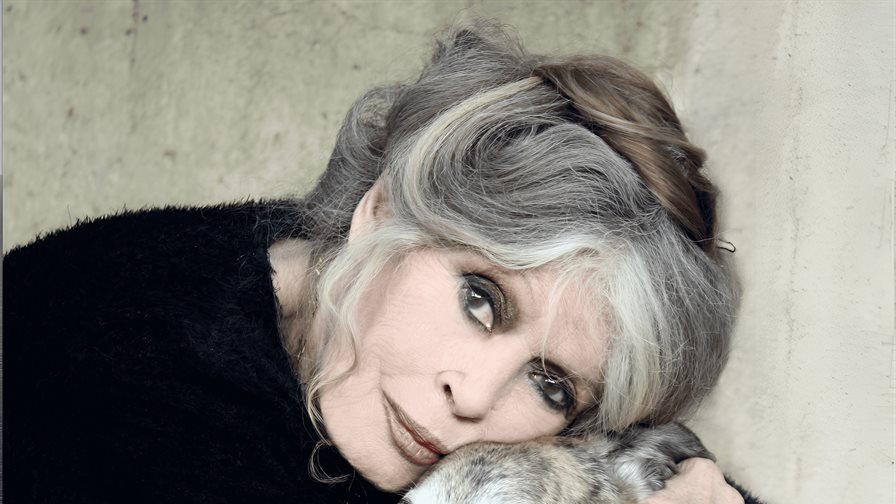 brigitte bardot vuelve a ser hospitalizada en tolon 77d139d2 focus 0.11 0.47 896 504