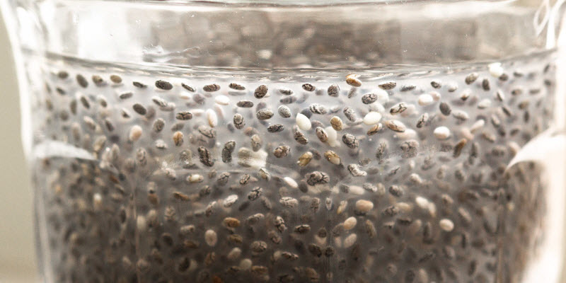 gel de chia mucilago