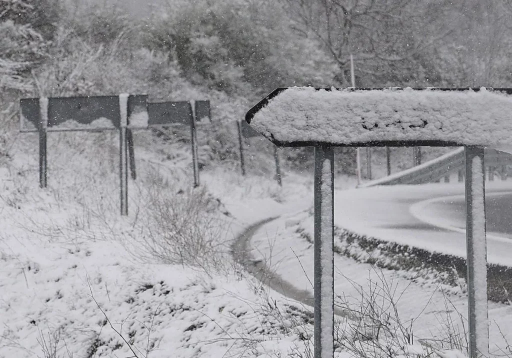  10max202601721780 kl9e u20379293446tff 1200x840@leonoticias