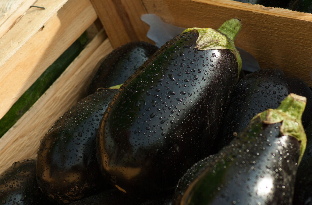 2 10 recetas berenjena