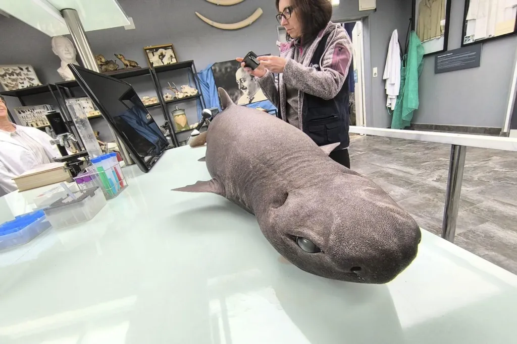 65cea4bc4c3229f5f525d9c0a0a33f1345269216w