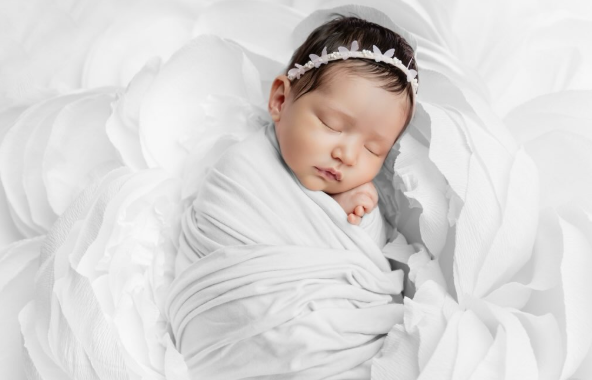 captura de pantalla 2026 01 27 202335