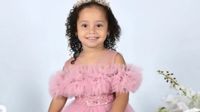 img 8520 1024x512 1 768x430