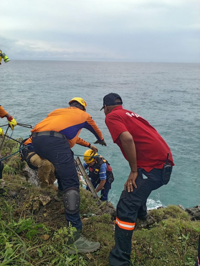 whatsapp image 2026 01 01 at 1.13.32 pm