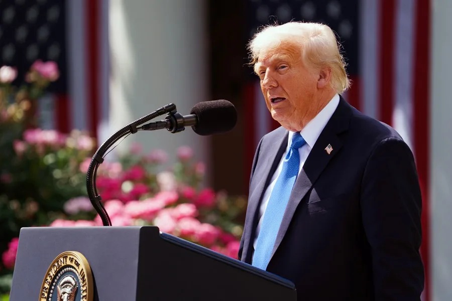 whatsapp image 2026 03 09 at 4.45.46 pm