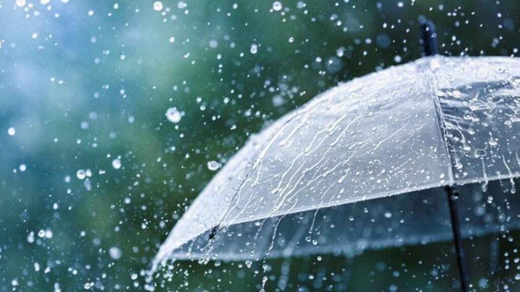 una imagen de paraguas bajo la lluvia