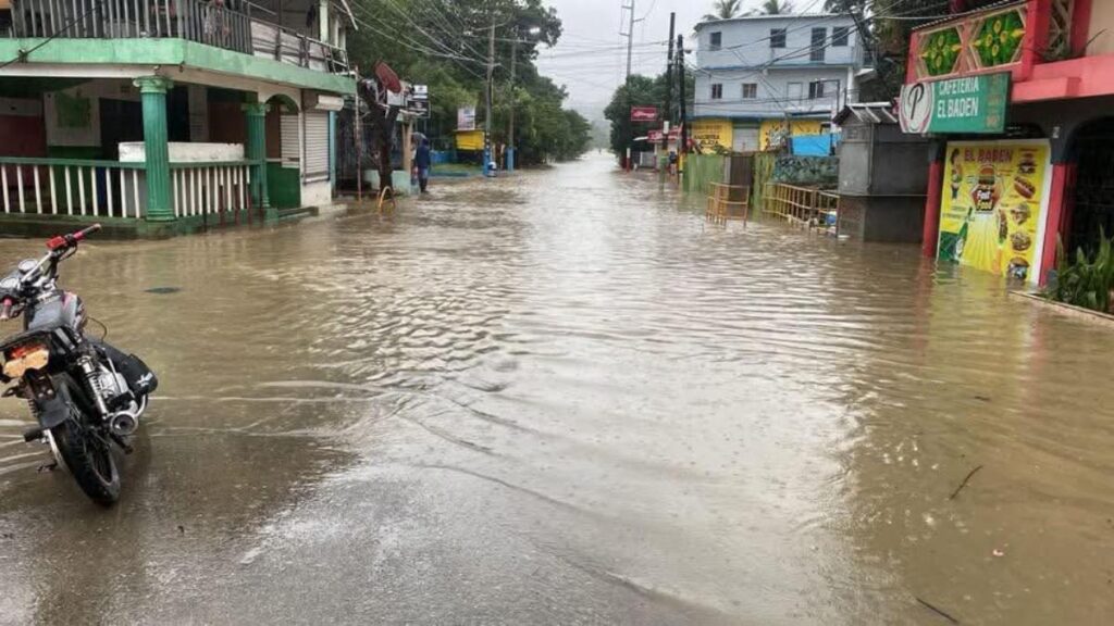 Prohibiciones y recomendaciones del COE